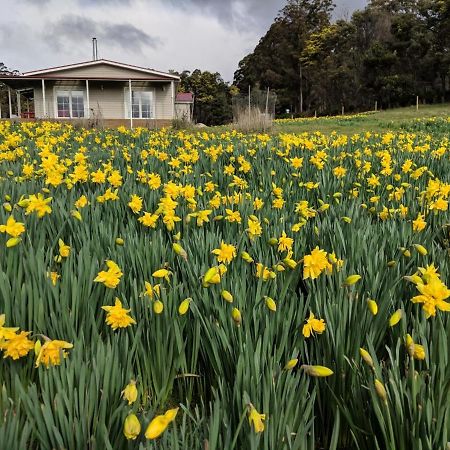 Mountain Blue Guest House Deloraine Exterior photo