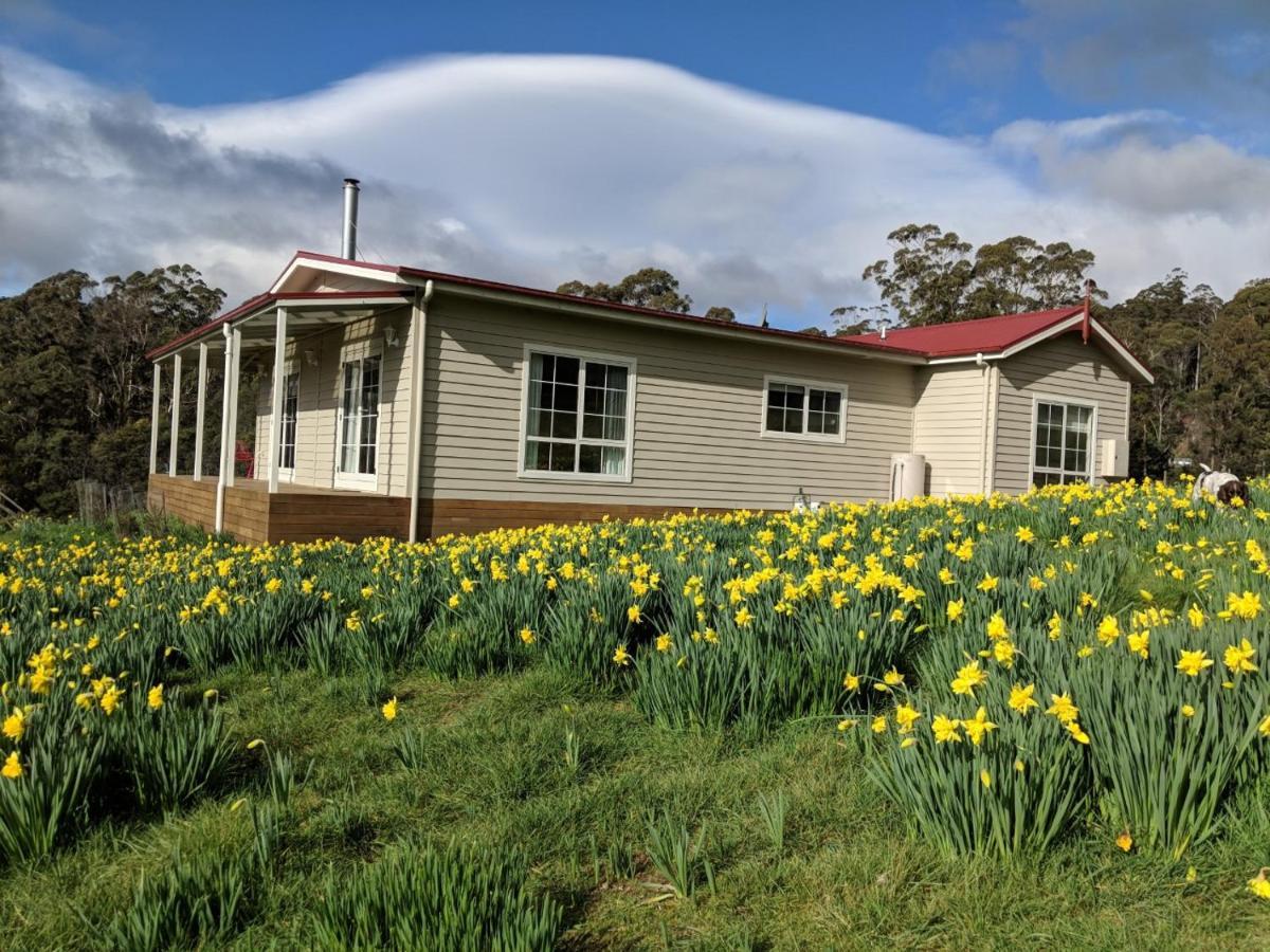 Mountain Blue Guest House Deloraine Exterior photo