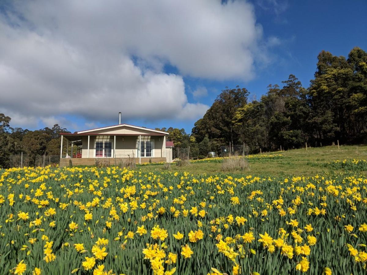 Mountain Blue Guest House Deloraine Exterior photo